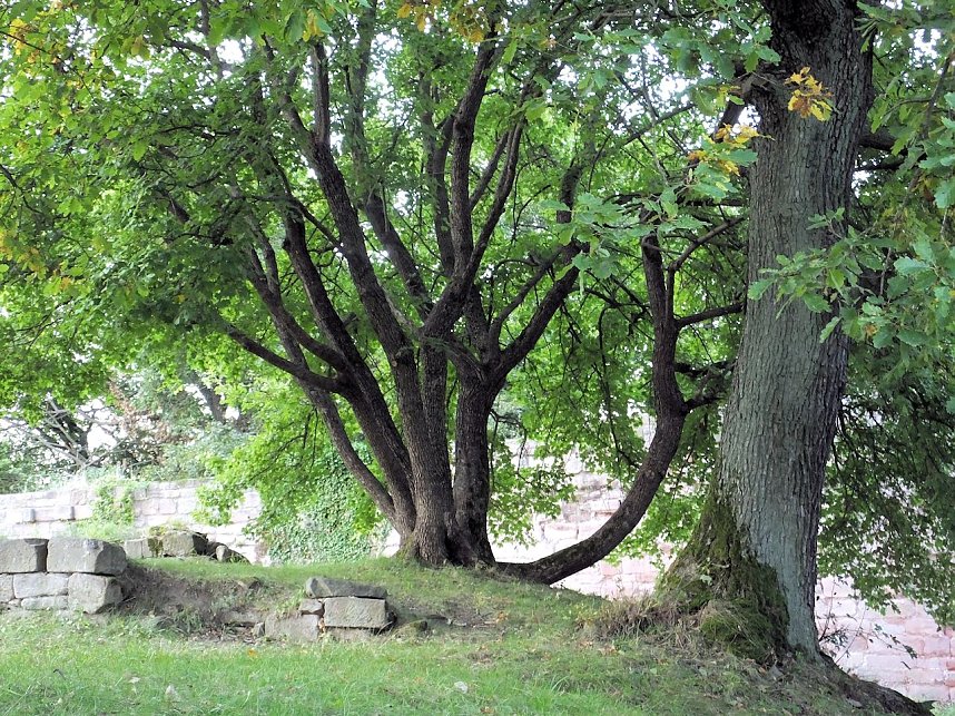 Unterwegs am Kyffh&auml;user