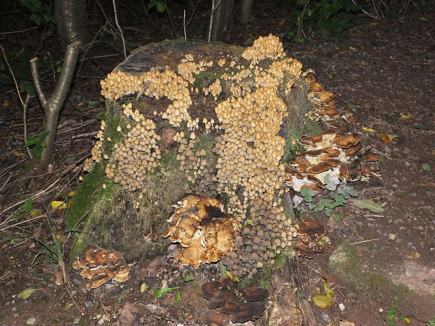 Unterwegs am Kyffh&auml;user