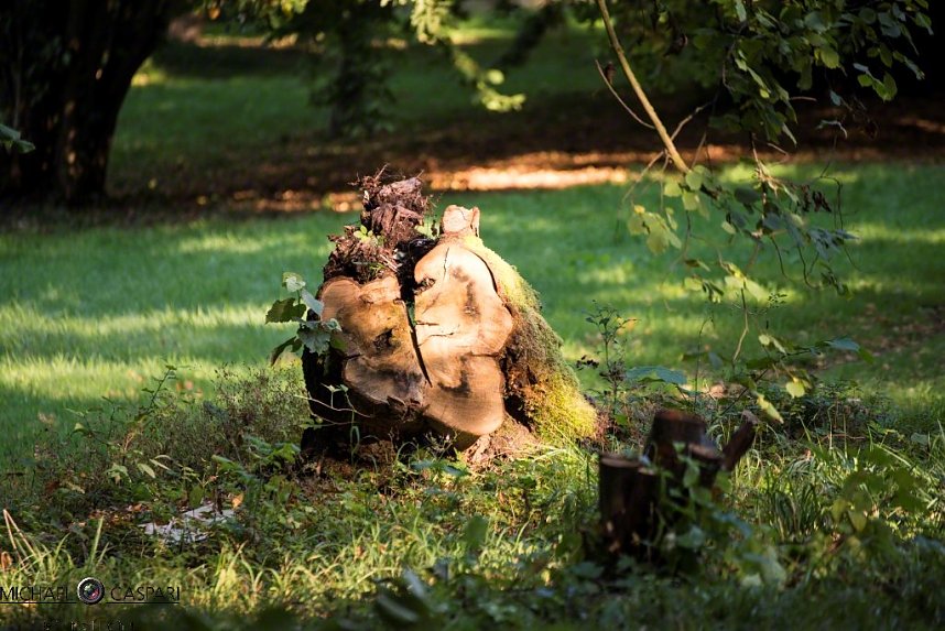 Herbst in Nordhausen