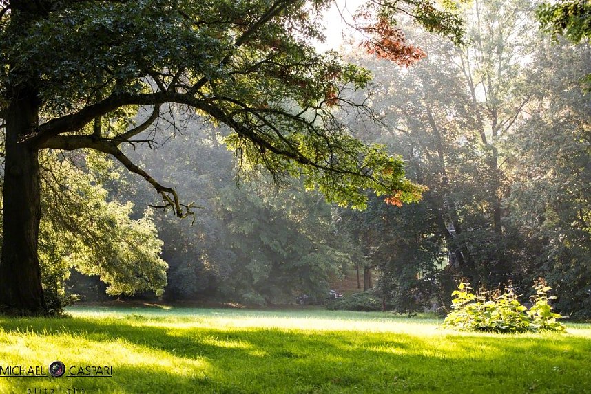 Herbst in Nordhausen