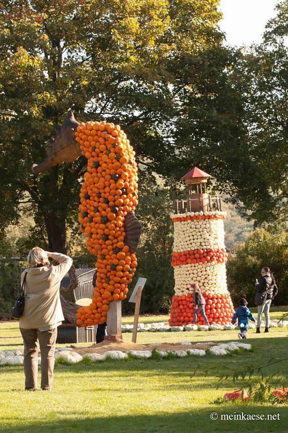 Auf der Ega entdeckt