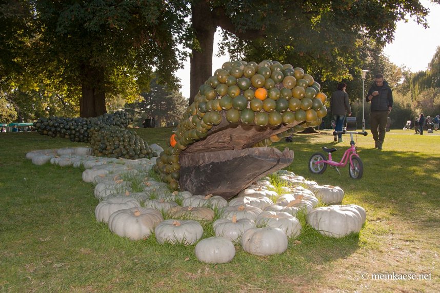 Auf der Ega entdeckt