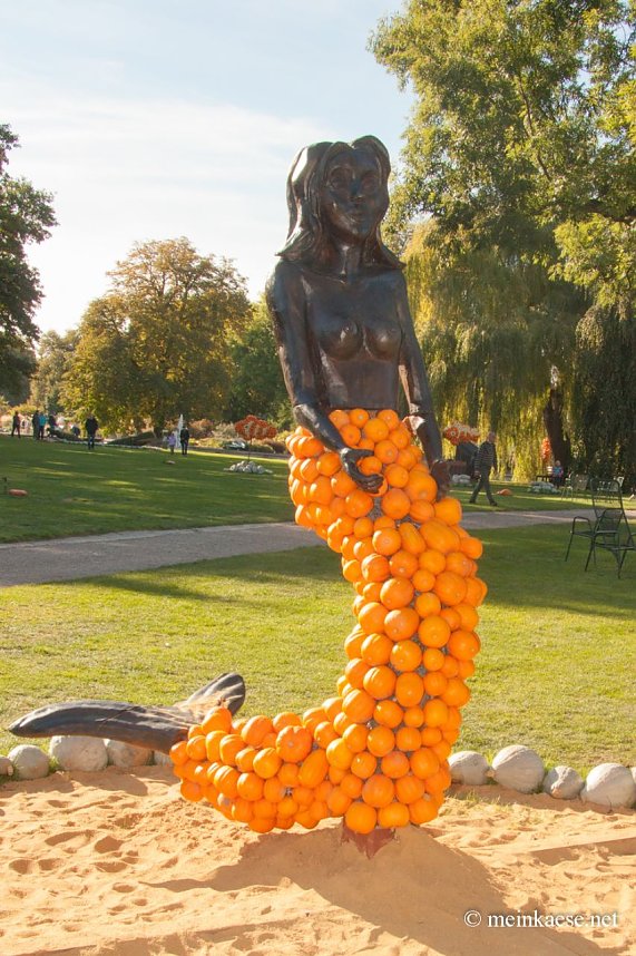 Auf der Ega entdeckt