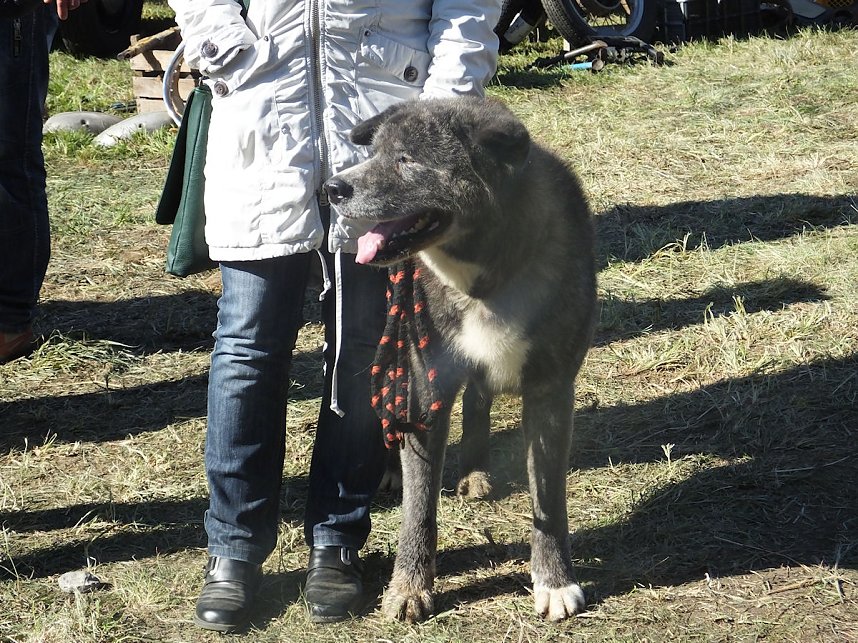Oldtimer in Benneckenstein