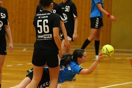 Erfolgreiches Handball-Wochenende
