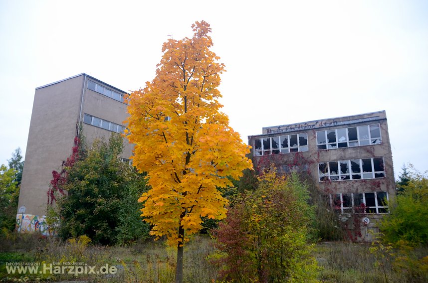 Unsere Alte Frauenbergschule