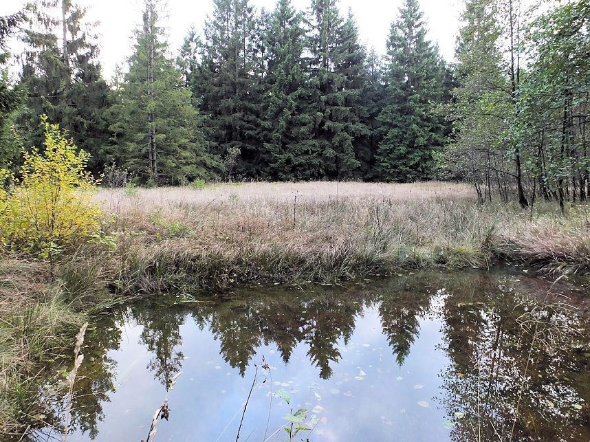 Von Benneckenstein nach Tanne
