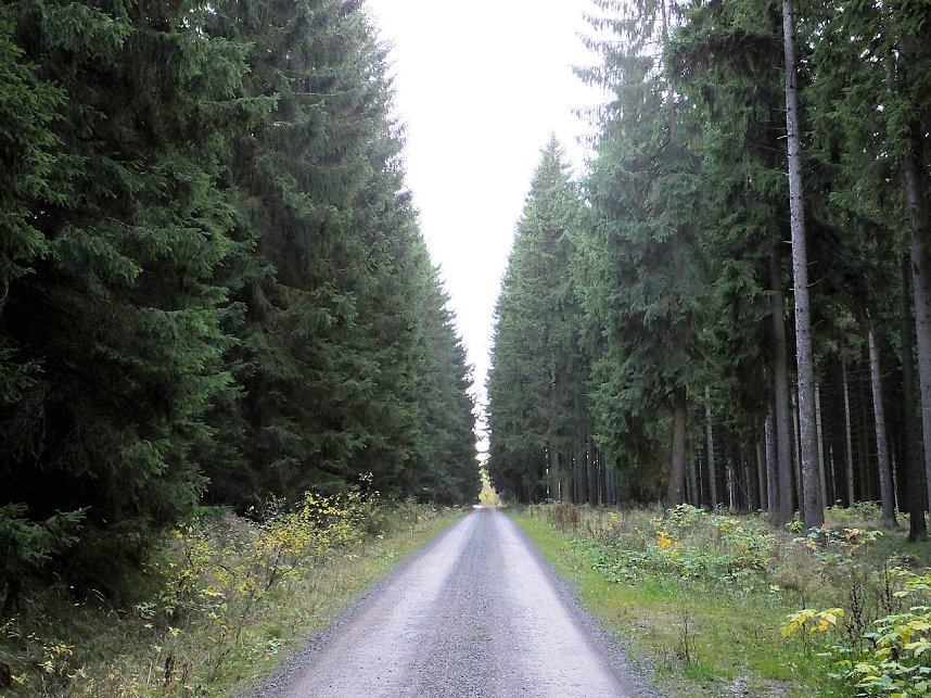 Von Benneckenstein nach Tanne