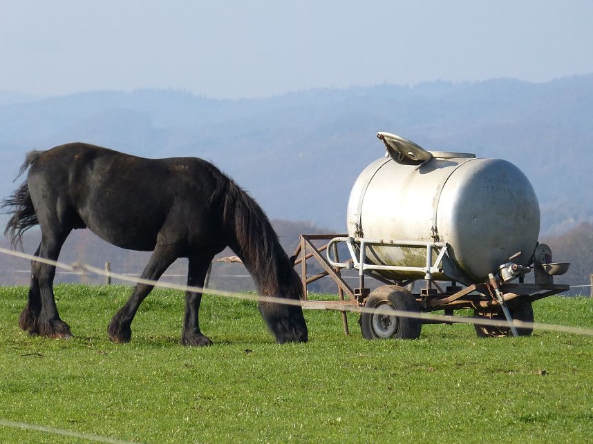 Wanderung zur Ebersburg