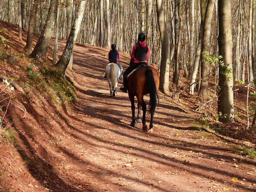 Wanderung zur Ebersburg