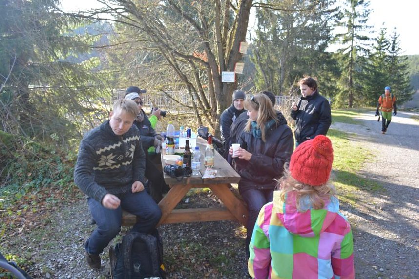 Doppelk&ouml;rner auf Wanderschaft