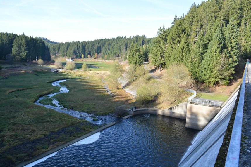 Doppelk&ouml;rner auf Wanderschaft