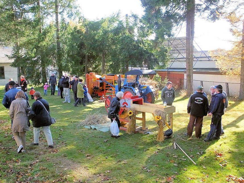 Bauernmarkt in Benneckenstein