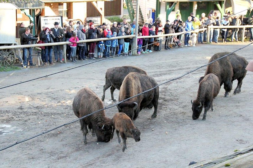 Saisonabschluss in der Westernstadt