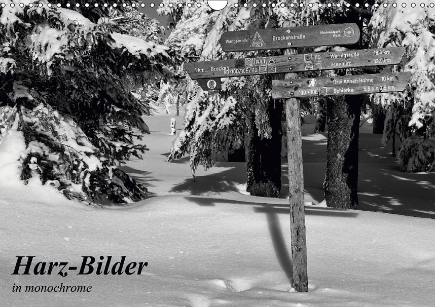 Den Harz nach Hause holen