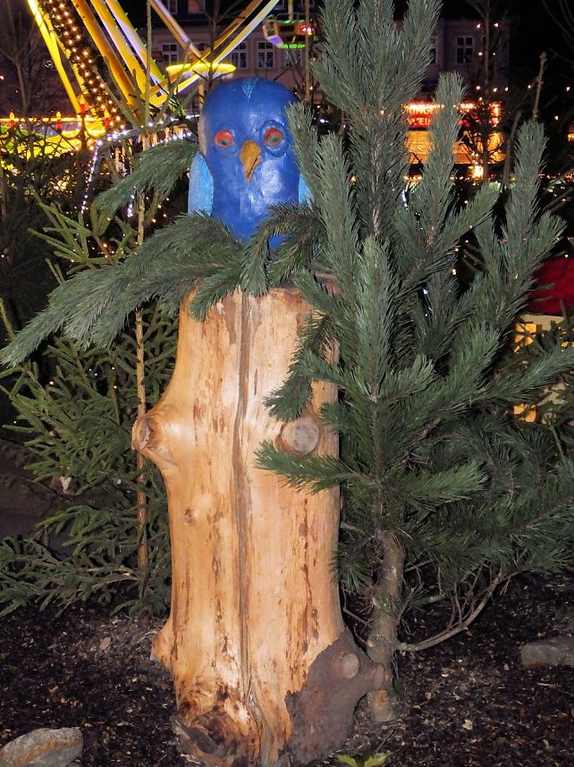 Besuch des Erfurter Weihnachtsmarktes