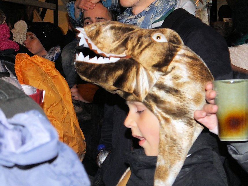 Besuch des Erfurter Weihnachtsmarktes