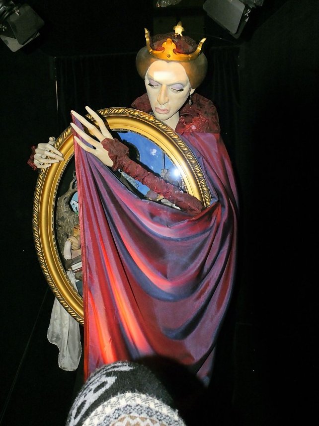 Besuch des Erfurter Weihnachtsmarktes