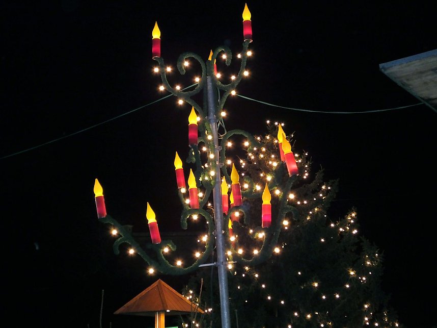 Besuch des Erfurter Weihnachtsmarktes