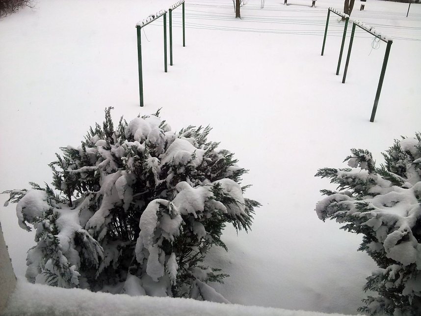 Schnee in Benneckenstein