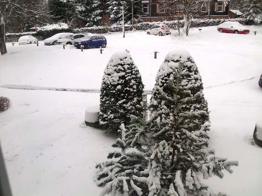 Schnee in Benneckenstein