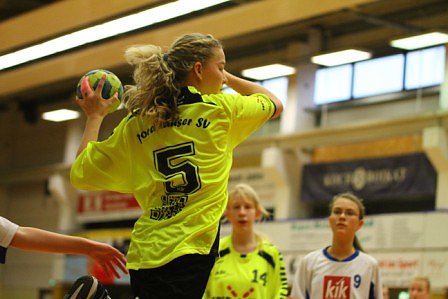 Handball-Wochenende des NSV
