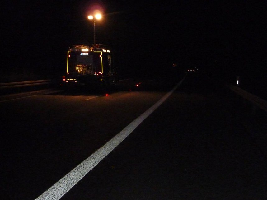 Wildschweine &uuml;berfahren