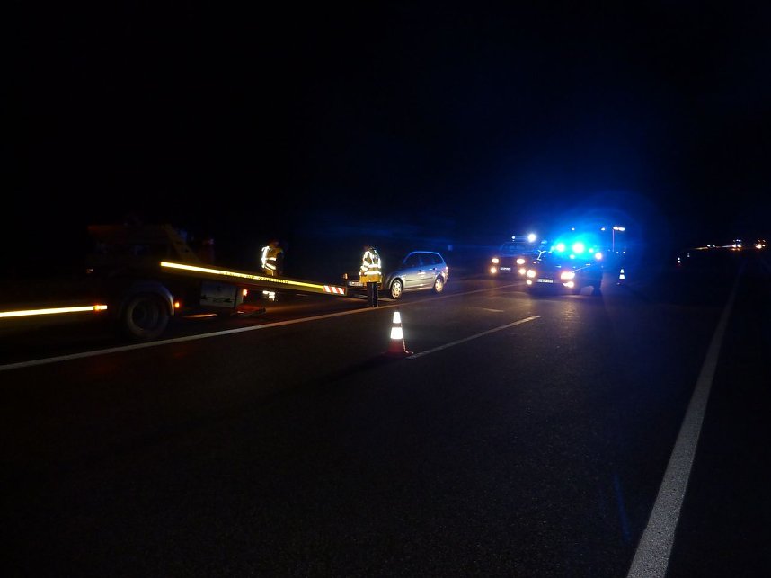 Wildschweine &uuml;berfahren