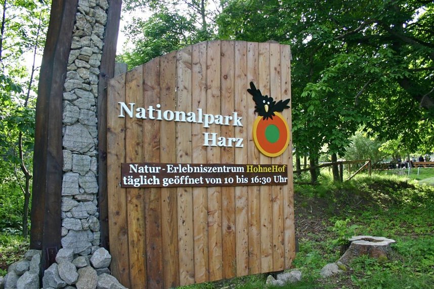 Erlebnisse auf dem HoheHof