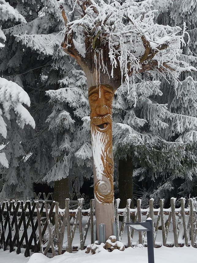 Erlebnisse auf dem HoheHof