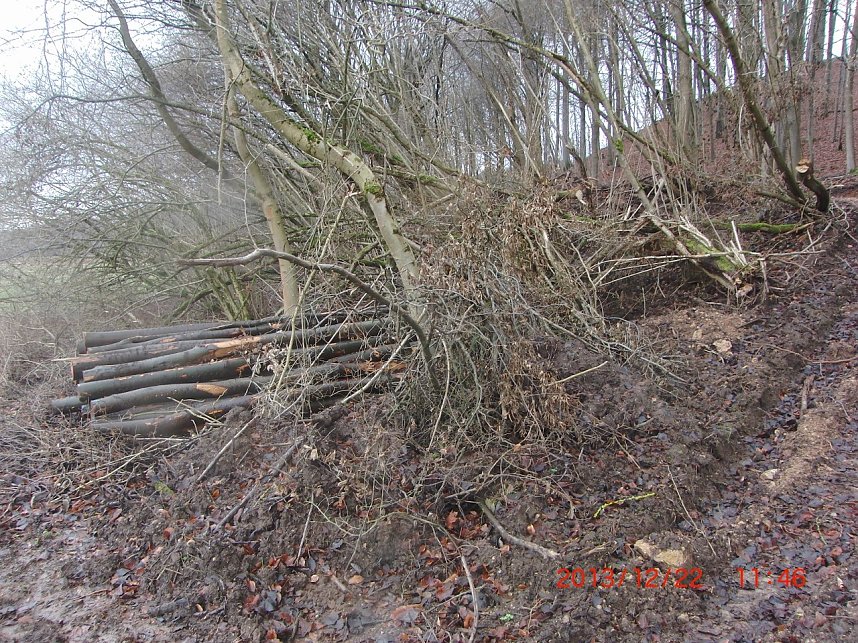 Das war einmal der Karstwanderweg