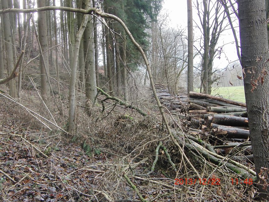 Das war einmal der Karstwanderweg