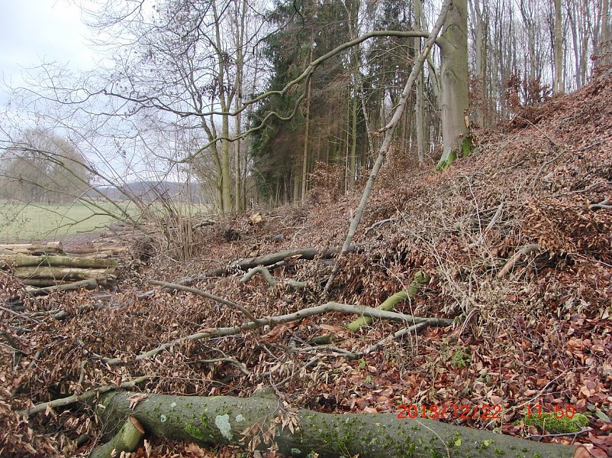 Das war einmal der Karstwanderweg
