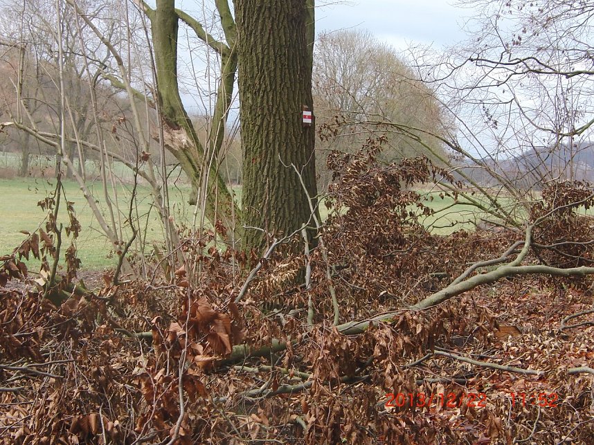 Das war einmal der Karstwanderweg