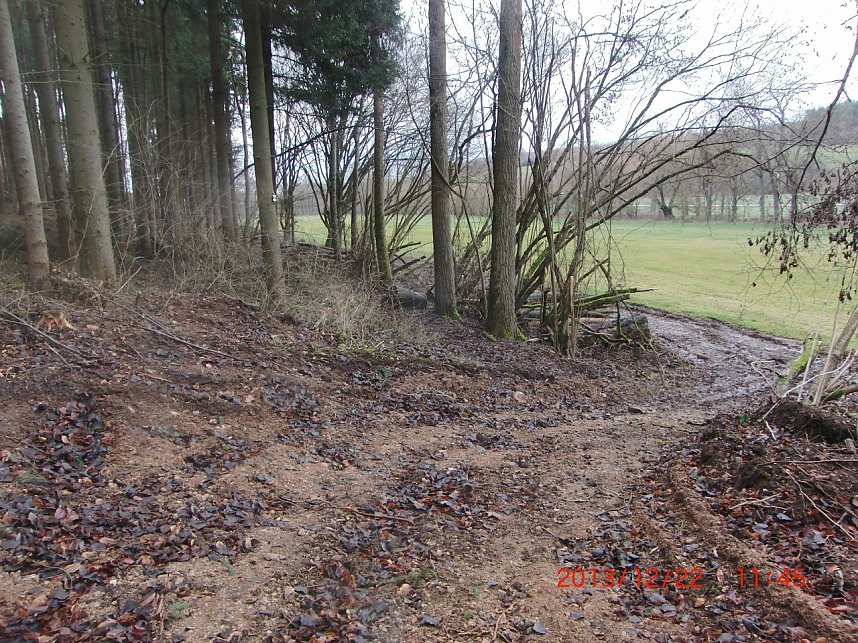 Karstwandweg w&auml;re ging als Pfad geradeaus