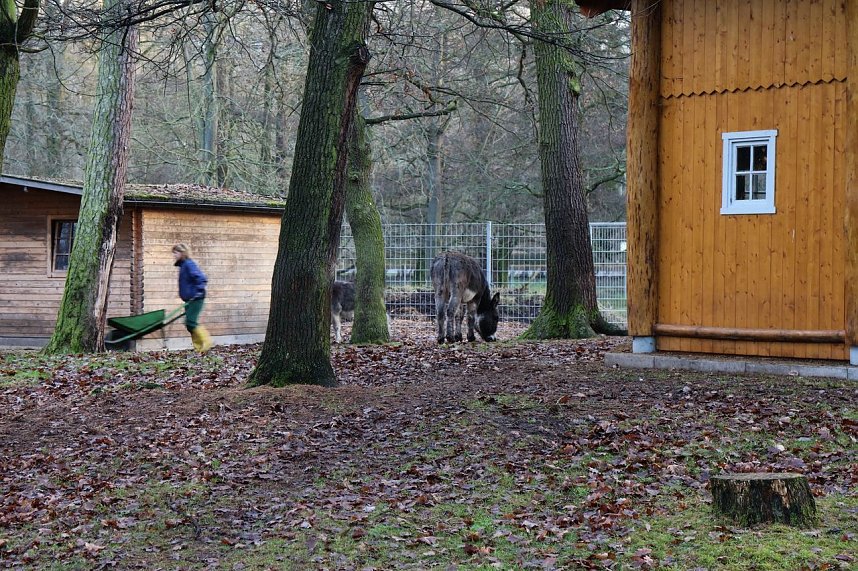 Vandalismus im Gehege
