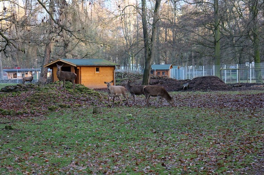 Vandalismus im Gehege
