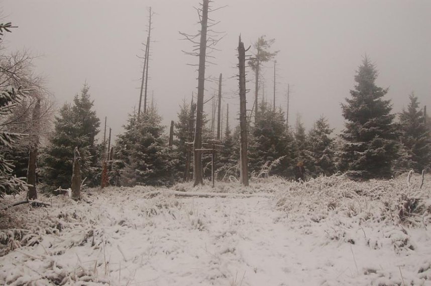 Die Doppelk&ouml;rner unterwegs