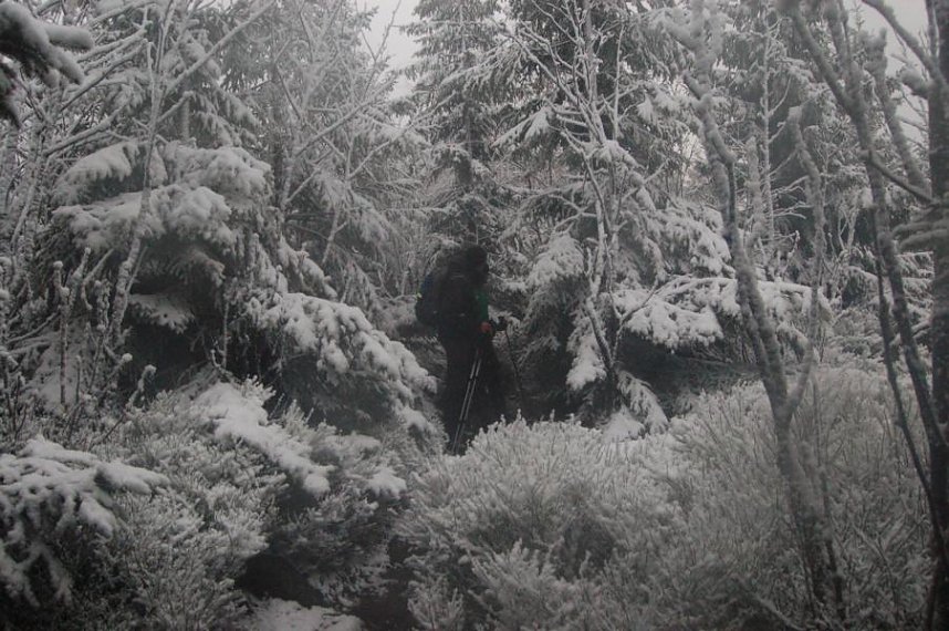 Die Doppelk&ouml;rner unterwegs