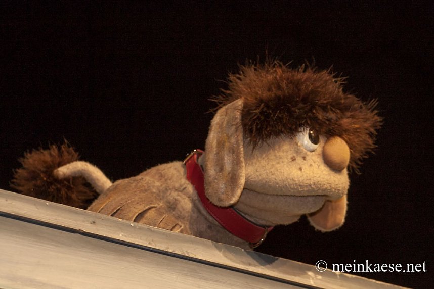 Pittiplatsch und seine Freunde