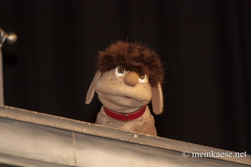 Pittiplatsch und seine Freunde