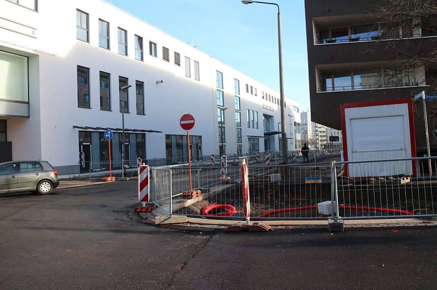 Fr&uuml;hling am Pferdemarkt