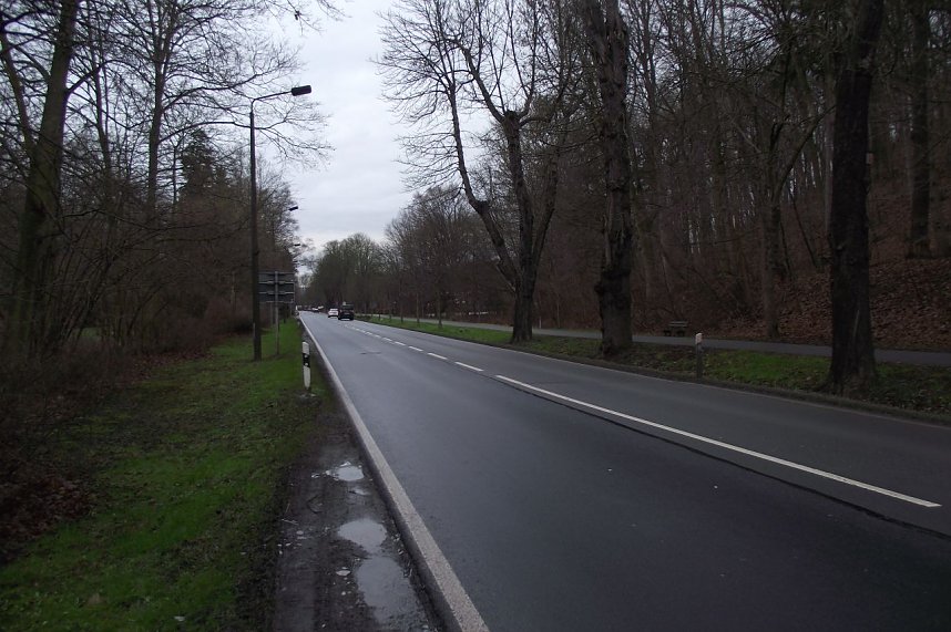 1812 wurde die Parkallee als Stra&szlig;e ausgebaut. Heute wird sie stark frequentiert. Die flankierenden Kastanienb&auml;ume laufen keine Gefahr mehr, als Brennholz verfeuert zu werden.