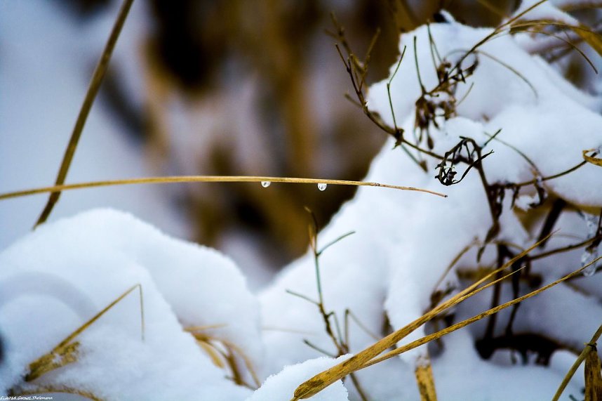 Winterliche Impressionen