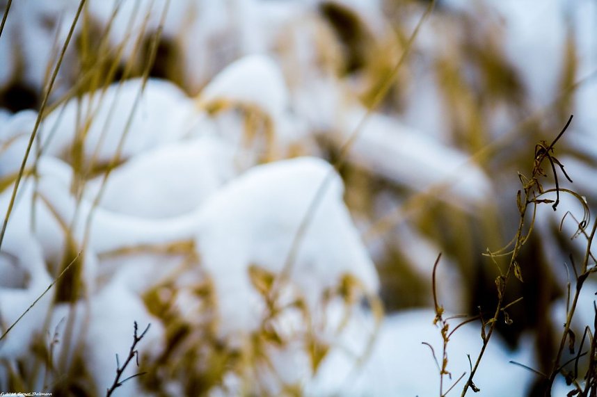 Winterliche Impressionen