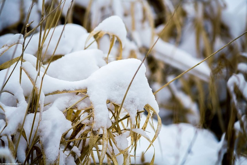 Winterliche Impressionen