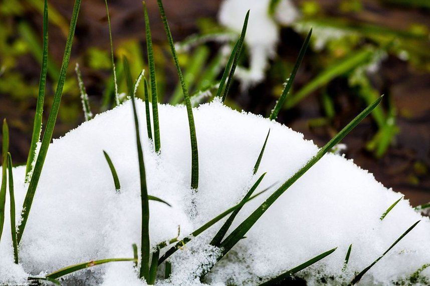 Winterliche Impressionen