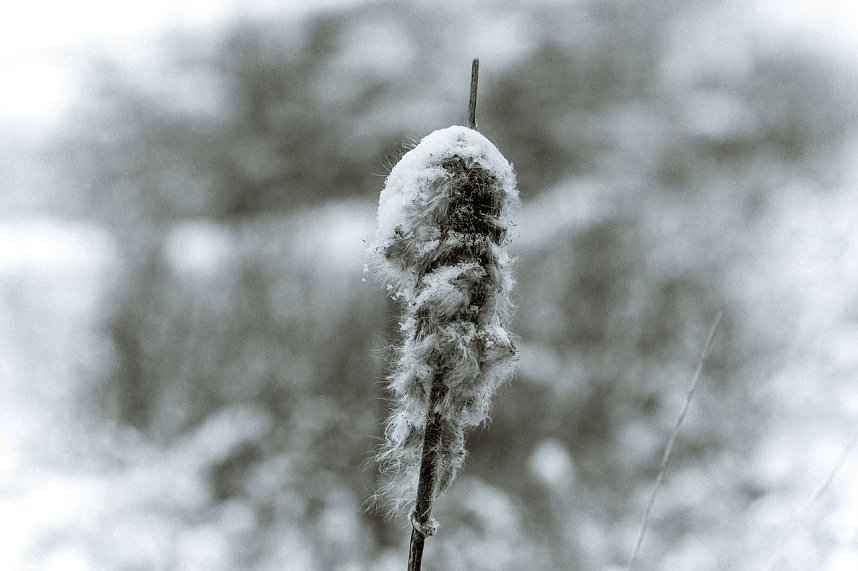 Winterliche Impressionen