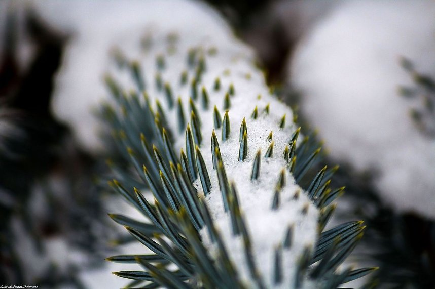 Winterliche Impressionen