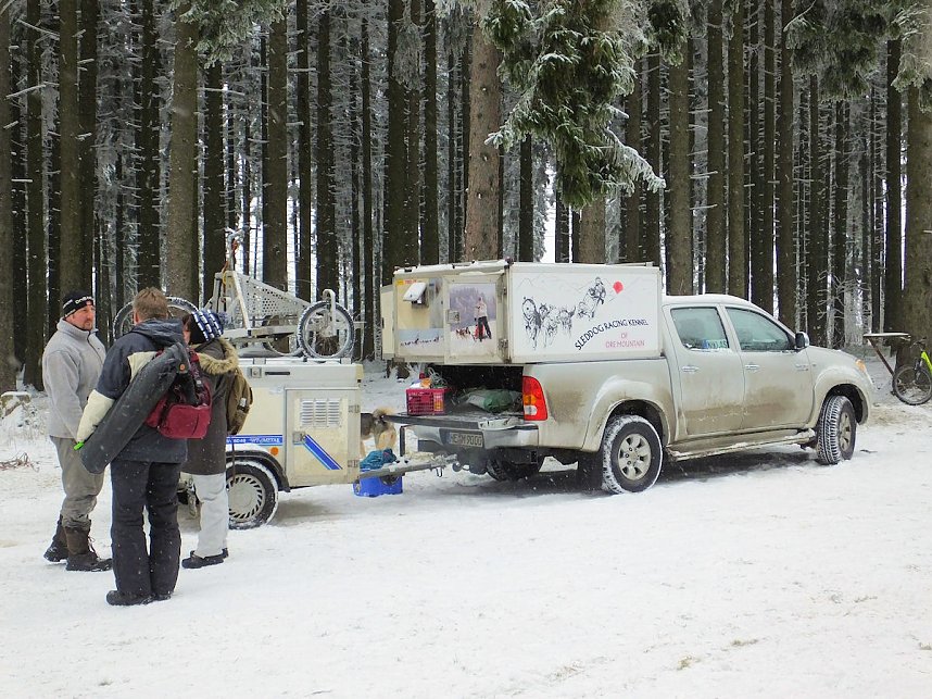 Schlittenhunderennen in Benneckenstein